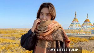 Cashmere Scarves Online