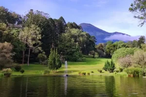 9 Hit Tourist Spots in Cianjur, Enjoying Natural Beauty and Instagrammable Spots